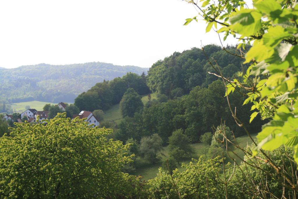Landidyll Hotel Zum Alten Schloss Kirchensittenbach Habitación foto